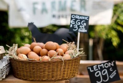 Why Local Restaurants Prefer Fresh Farm Eggs from Trusted Wholesale Suppliers