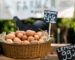 Why Local Restaurants Prefer Fresh Farm Eggs from Trusted Wholesale Suppliers